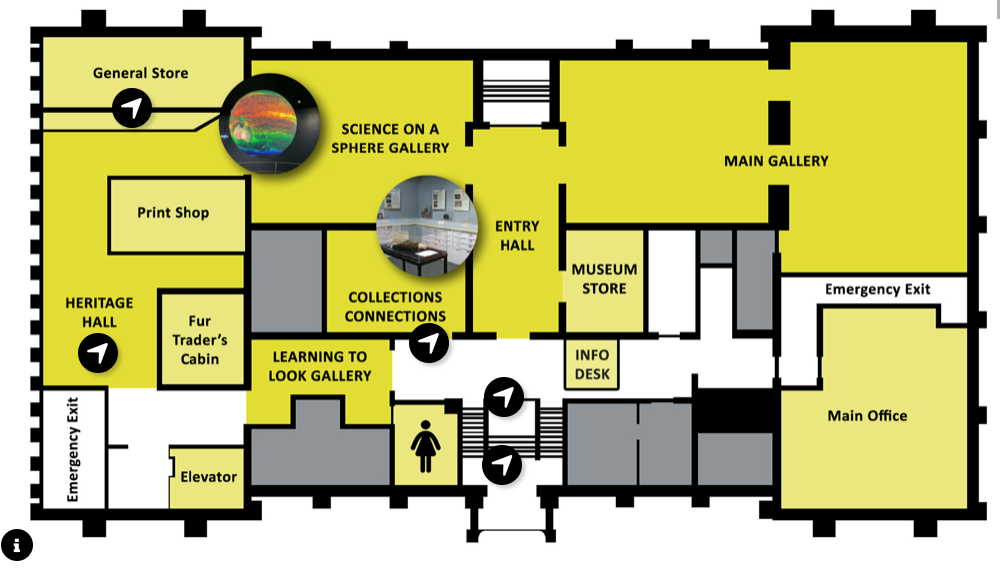 MSU Museum Map A map outlining a bird's eye view of the museum layout, with markers that allow the user to select a specific location in the museum.