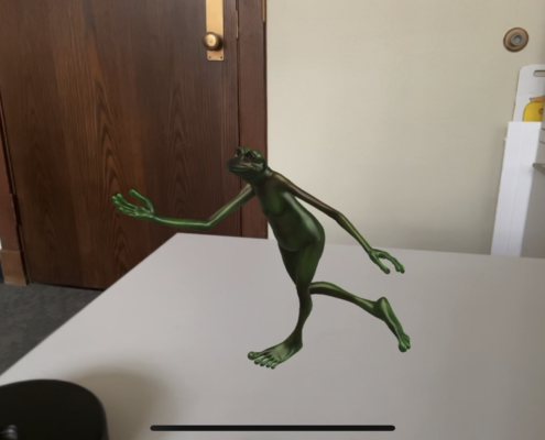 Virtual Reality Frog